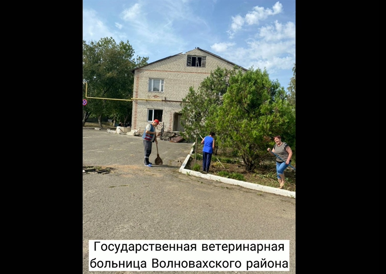 Працівники ветеринарної лікарні прибирають в тимчасово окупованій Волновасі