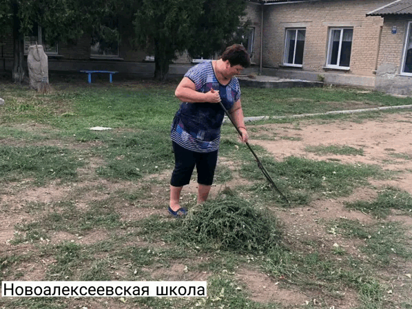 Суботник в тимчасово окупованій частині Волноваського району