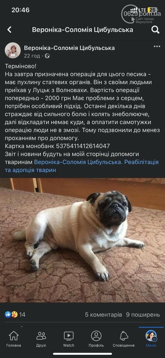 Скрин повідомлення у групі Facebook