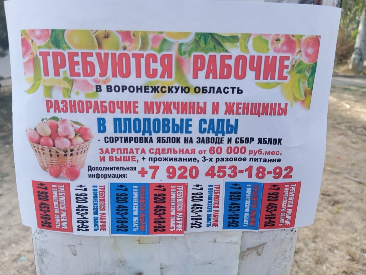 Як українці в окупації заробляють на життя. Аналіз витрат на тимчасово окупованих територіях