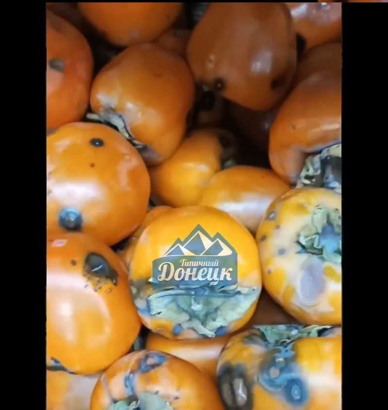 Скрін з відео з Донецького телеграм каналу