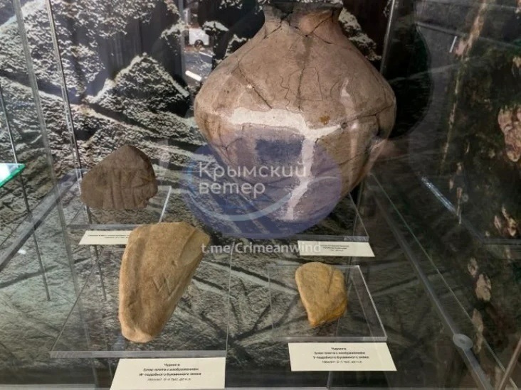 Виставка у 2025. Фото: “Крымский ветер”
